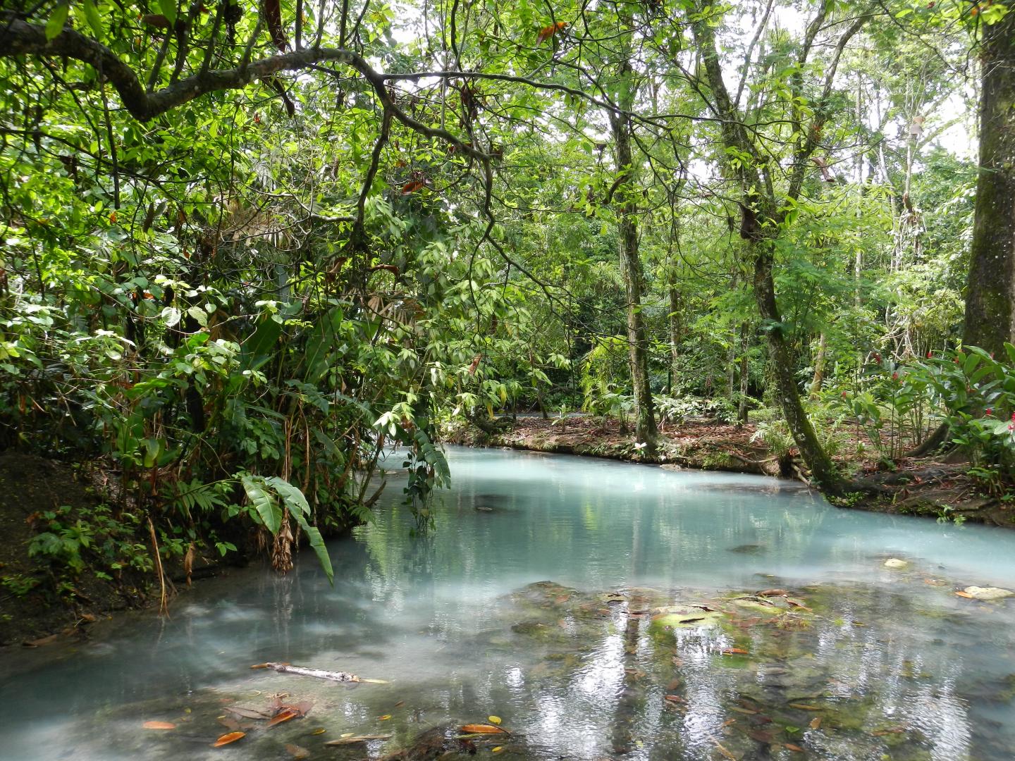 Sulfidic spring near Teapa, Mexico.