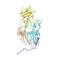 Single Molecule of the Protein D13 from the Vaccinia Virus