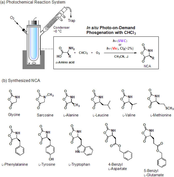 Figure 2: Diagram of this study’s results