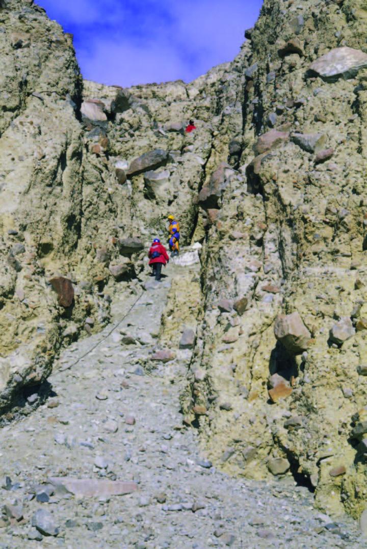 The Locality Where the New Ground Beetle Species was Discovered