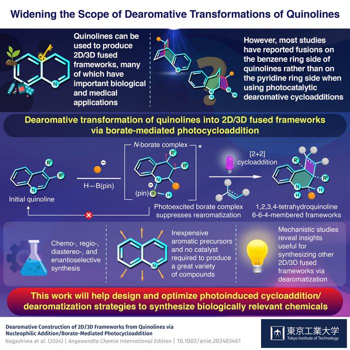 Transforming Inexpensive Quinolines into Complex Drug Candidates