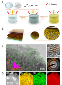 Figure 1. Synthesis method and morphology of the ligand-tailored SnO2 QDs.