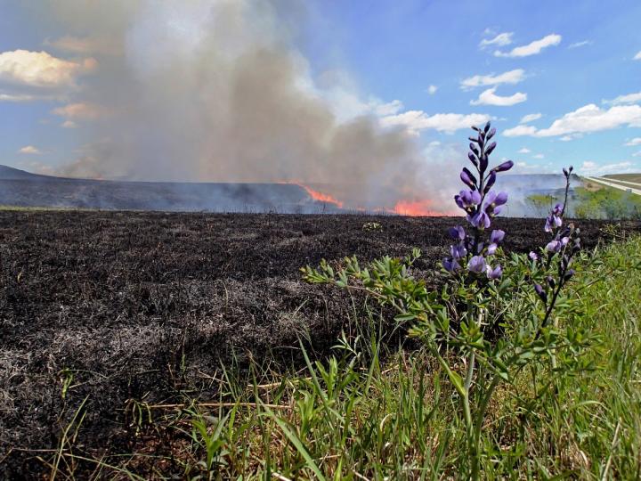 Annual Prescribed Burn