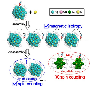 Linearly Assembled Ag-Cu Nanoclusters: Spin Transfer and Distance-dependent Spin Coupling