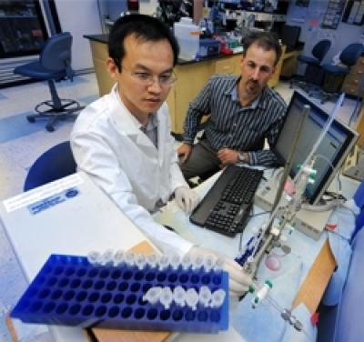 David J.R. Fulton and Feng Chen,  Georgia Health Sciences University