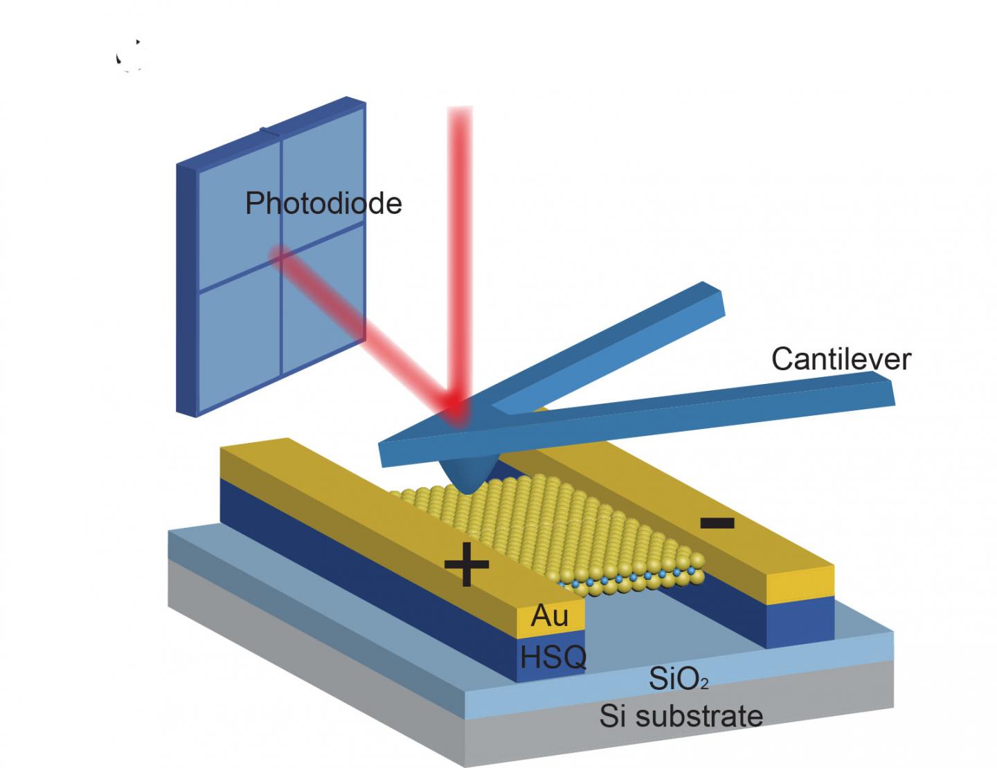 Piezoelectricity in MoS2 (1 of 2)