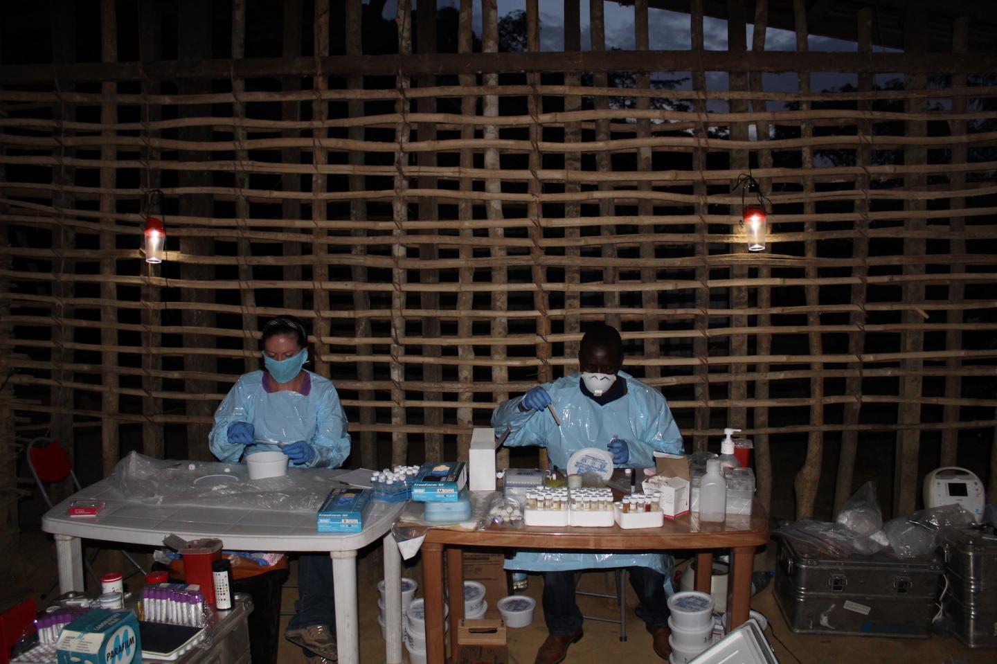 Processing Samples for Microbiome Analysis