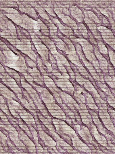 Cells Demonstrating Self-Organization and Left-Right Asymmetry