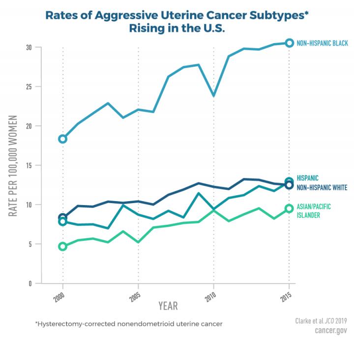 Rates of Aggressive Uterine Cancer Subtypes Rising in the US