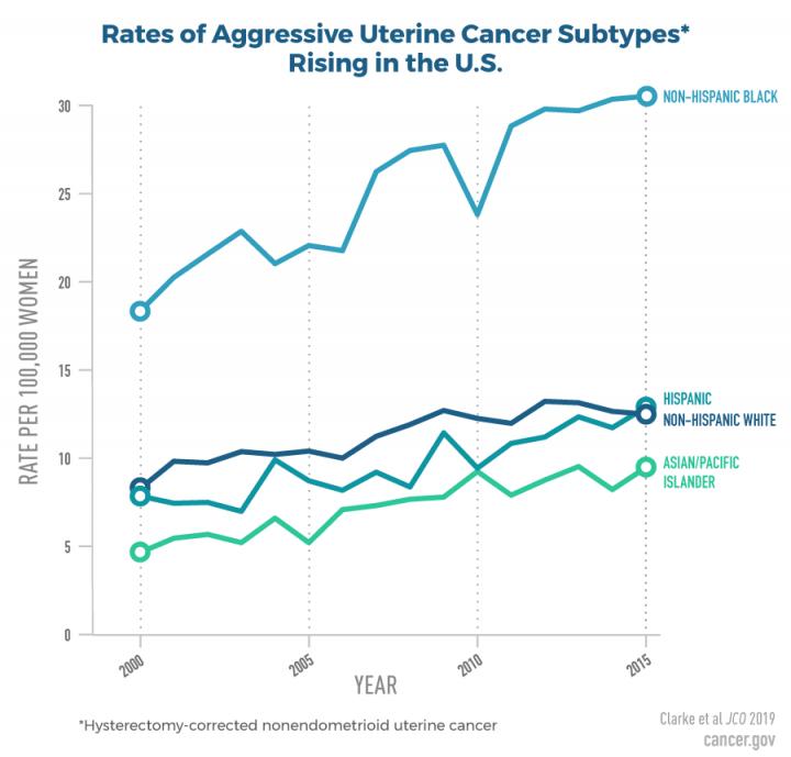Rates of Aggressive Uterine Cancer Subtypes Rising in the US