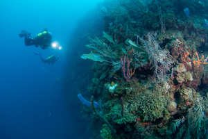 Hope for Reefs dive team explores a reef in Roatán, Honduras