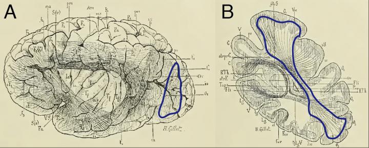 VOF 19th Century Drawings