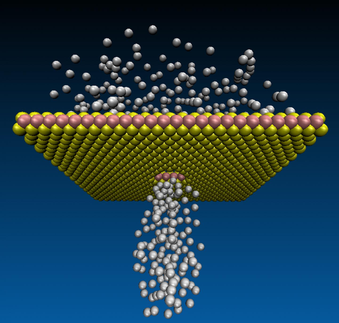 WS2 Membrane