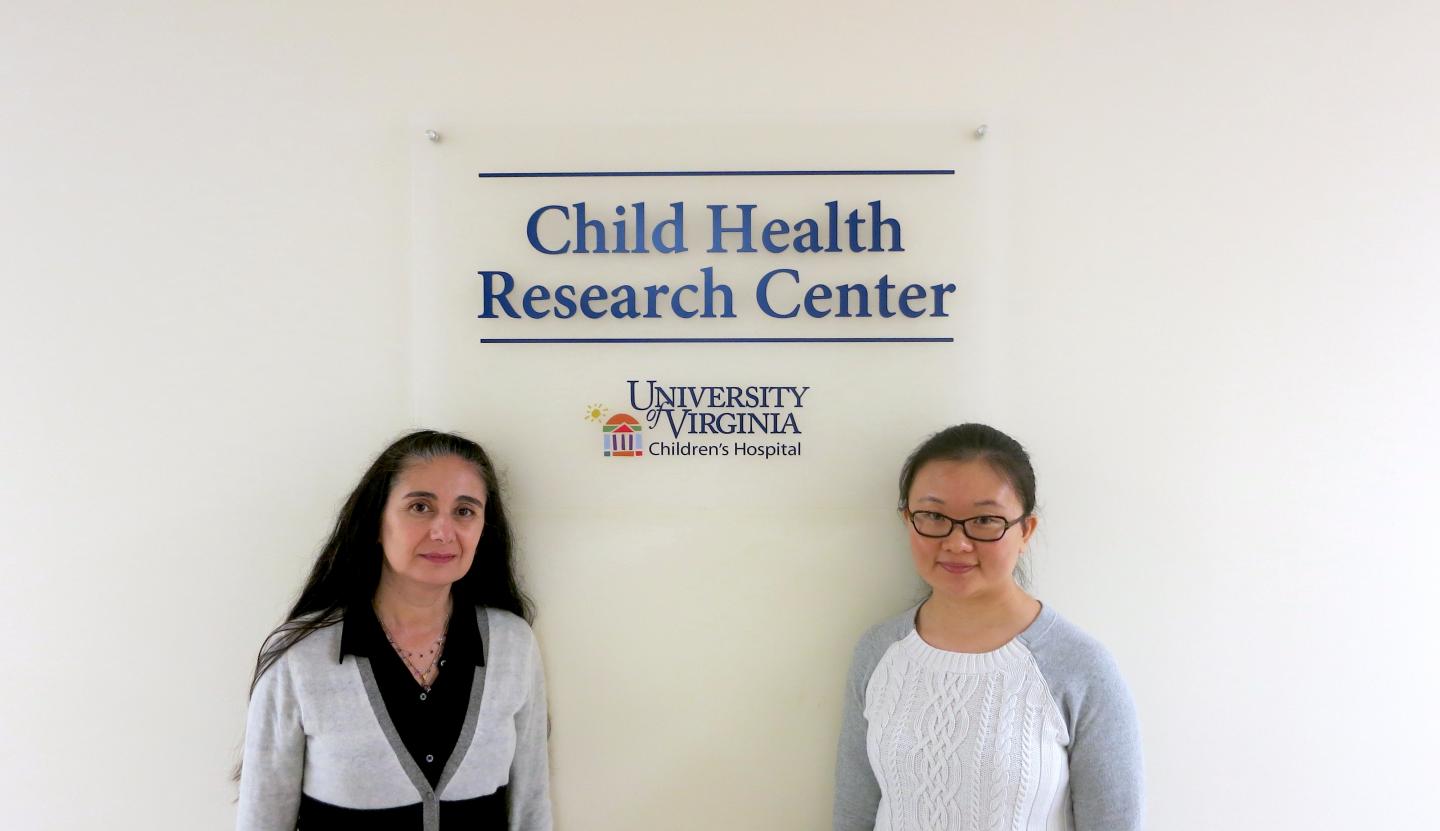 Blood Vessel Discovery a Major Step Toward Growing Kidneys (3 of 3)