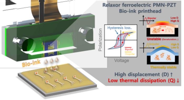 Schematic of a high-performance piezoelectric material-based print head for bioprinting applications