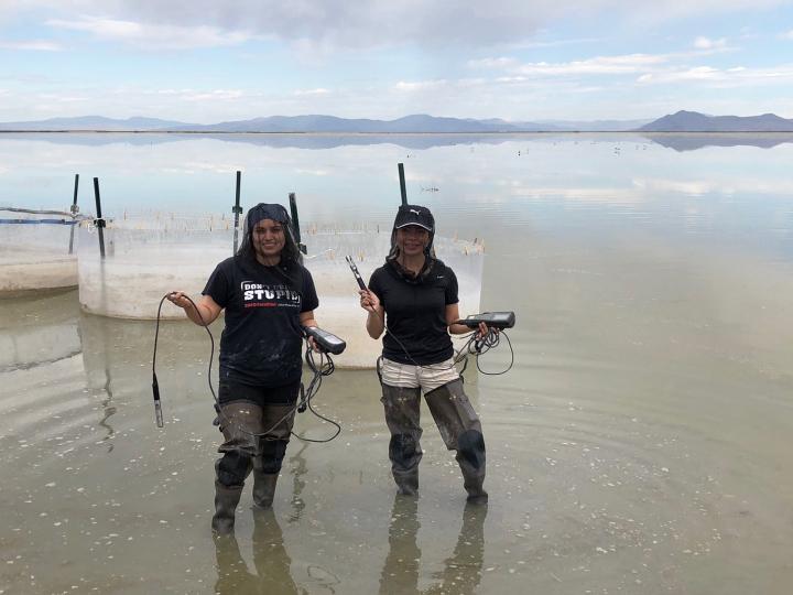 USU Undergrad Researchers Collect Water Samples