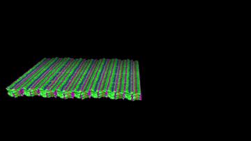 Cryo-EM Peptoid