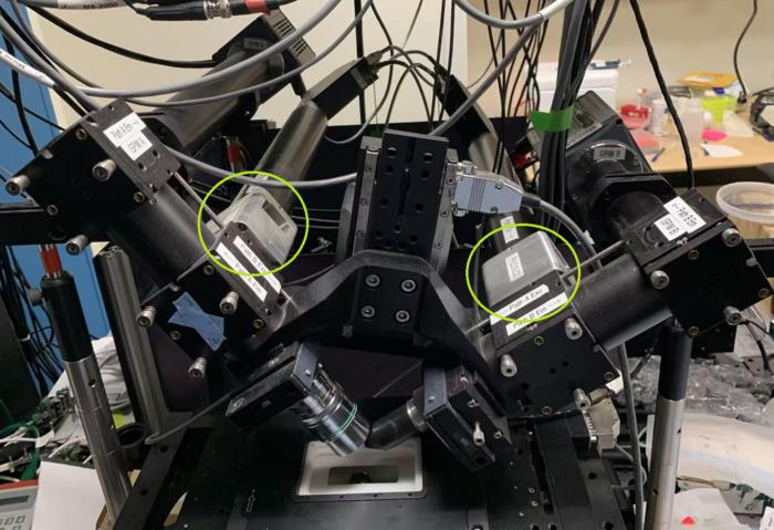 Polarized dual view lightsheet microscope