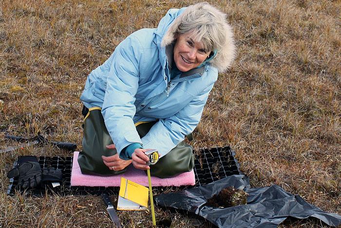 Cathy Wilson, DOE/Los Alamos National Laboratory