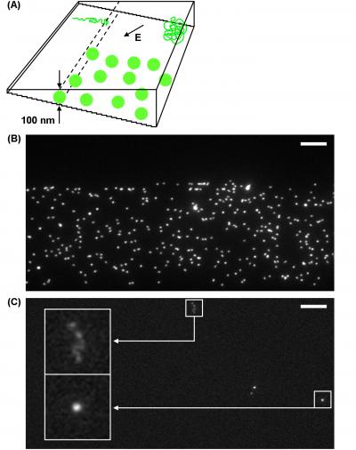 3-D Nanofluidic Device -- How It Works