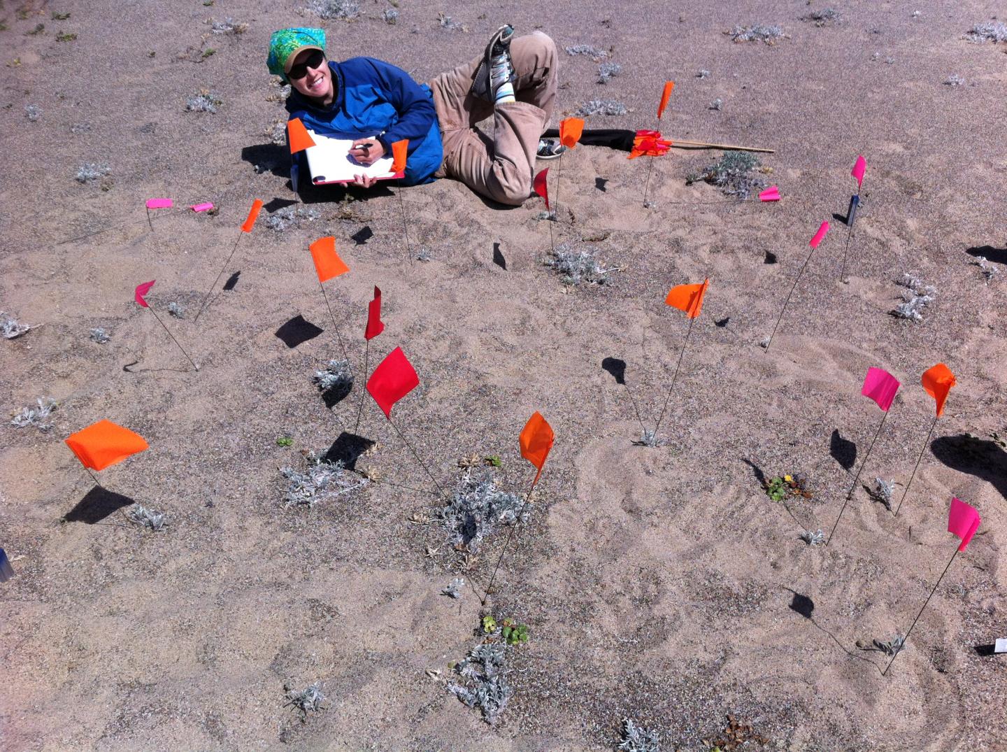 Counting the Recruits