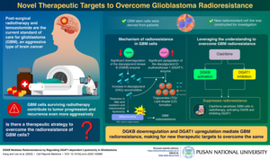 Therapeutic targets to overcome glioblastoma radioresistance