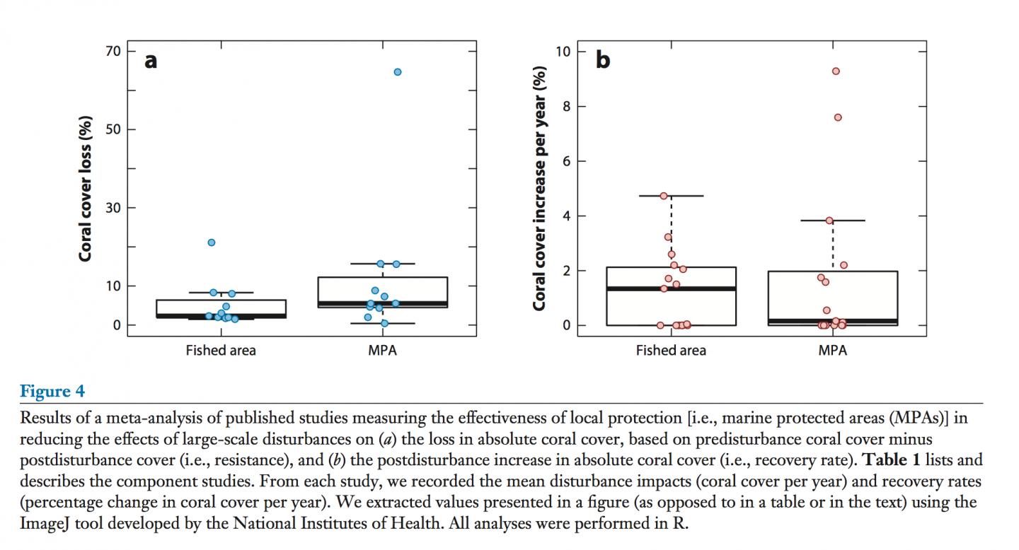 Effectiveness of Local Protection