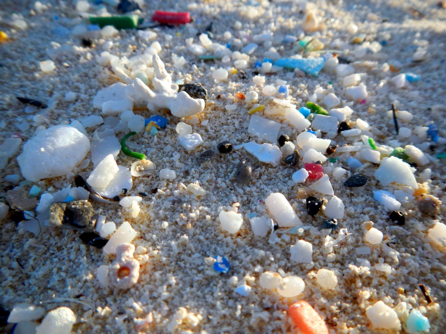 Microplastics