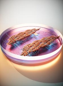 Magnetic matrix actuation