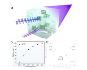 Figure 2| Multifunctional display of optical prototype devices