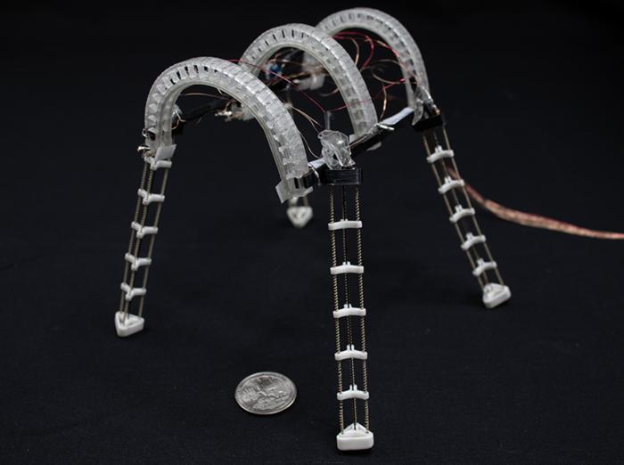 The adaptive quadruped robot