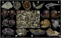 A Glassy Menagerie of Particles Found in Japan's Beach Sands