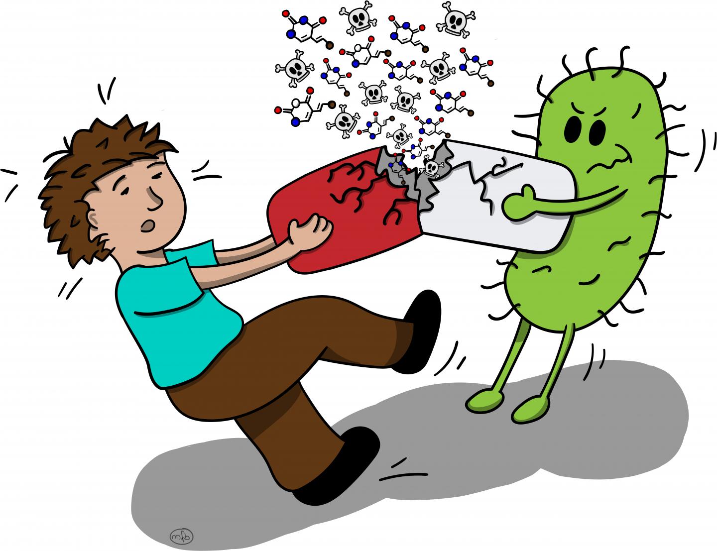 Untangling the Impacts of Gut Bacteria on Dru | EurekAlert!