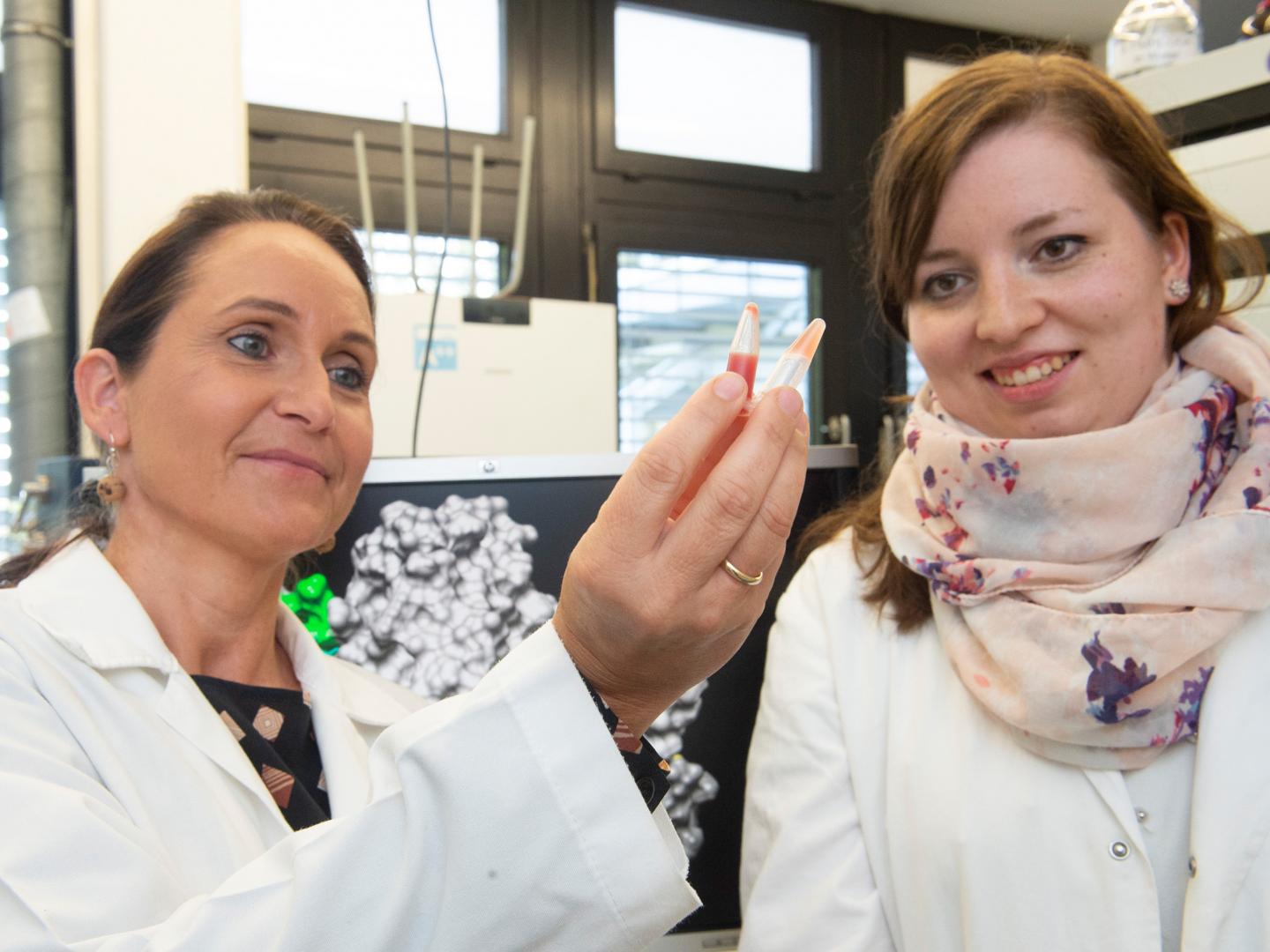 Prof. Dr. Diana Imhof (left) a [IMAGE] EurekAlert! Science News Releases