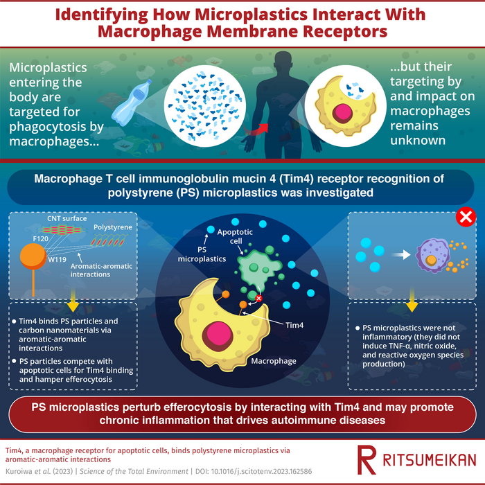 Researchers shed light on the mechanism of macrophage-microplastic interactions