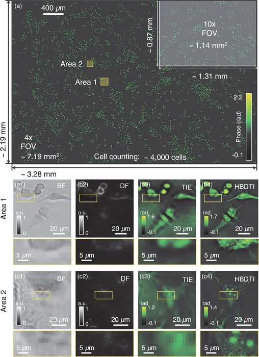 QPI results of unlabeled HeLa cells.