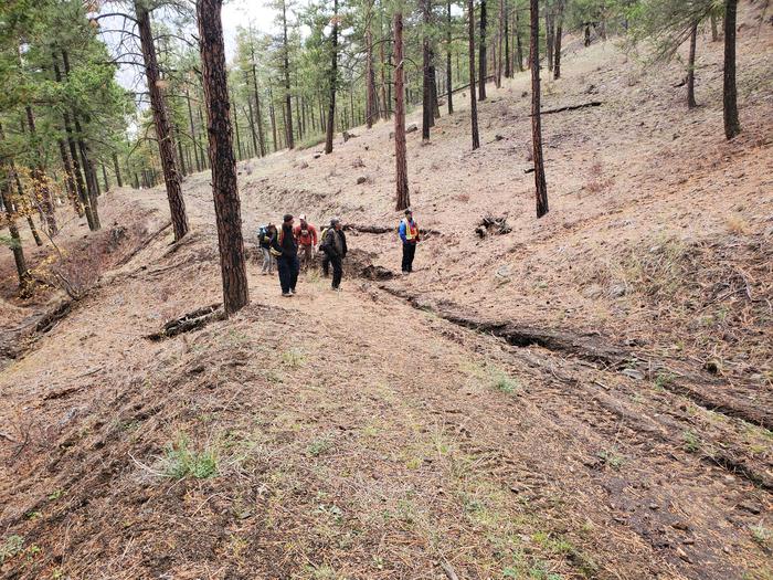 Post wildfire debris berm