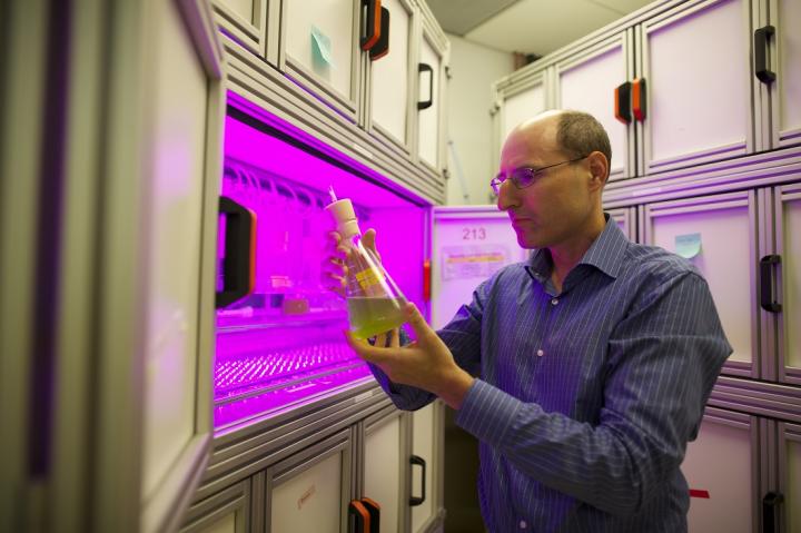 James Umen, Donald Danforth Plant Science Center