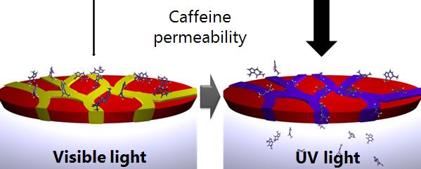 Illustration of UV-Activated Plaster Delivering a Dose