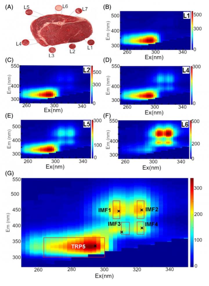 Intensity of Fluorescence with Various Frequencies of Excitation and Emission
