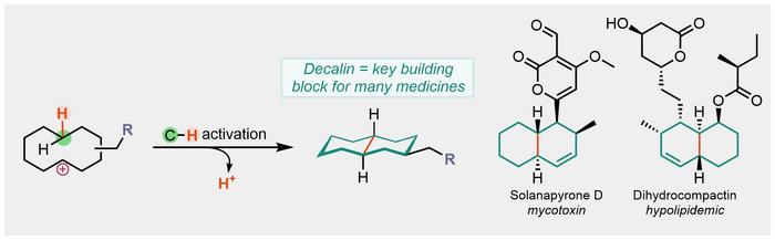 "Remote elimination", a new type of C–H activation reaction, allows simple synthetic access to substituted decalins.