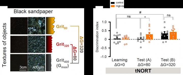 Enhancement of Discrimination Performance in High-Tonic GABA Model