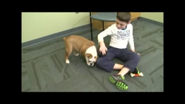 Children with Autism Who Live With Pets Are More Assertive