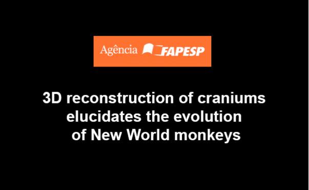 Extinct Monkeys