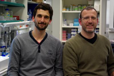 Miquel Duran and Patrick Aloy, Institute for Research in Biomedicine (IRB Barcelona)