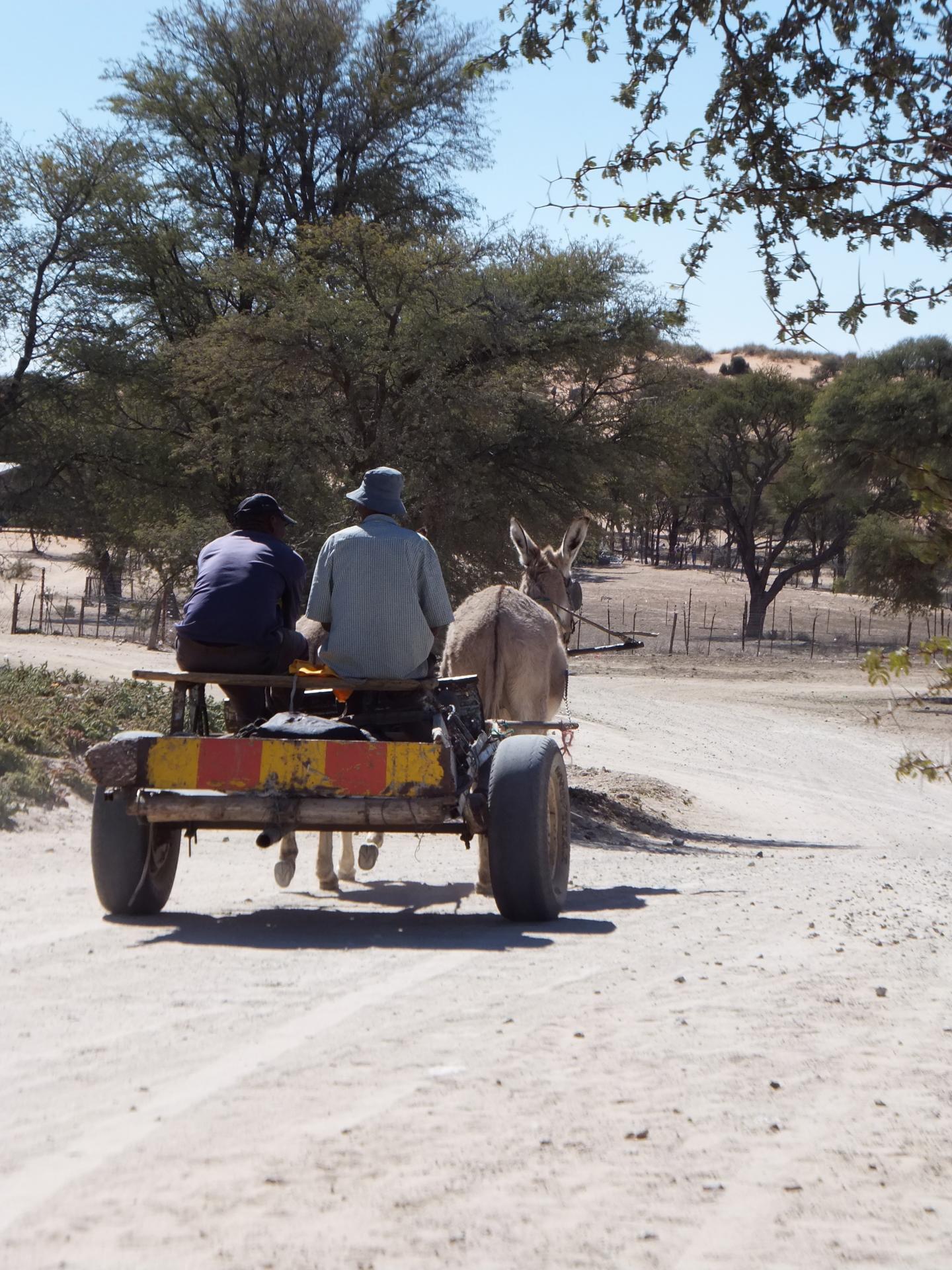 Khomani San Community