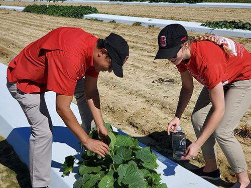 Scientists in the field