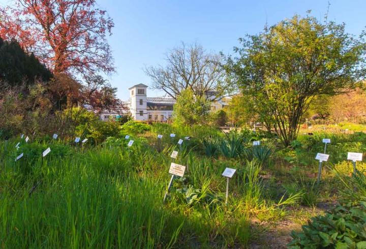 Leipzig Botanical Garden