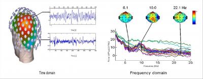 Features Used in Detection