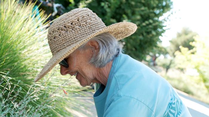 Volunteer weeds in the Hummingbird GATEway Garden